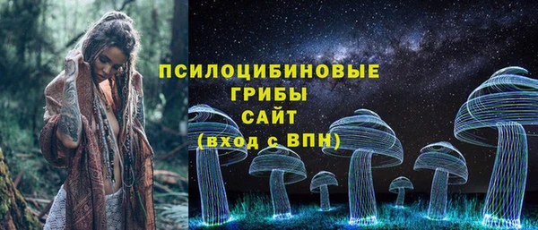Альфа ПВП Елизово