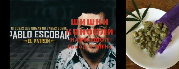 Альфа ПВП Елизово