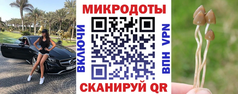Купить закладки  Сольцы  Галлюциногенные грибы Cubensis 